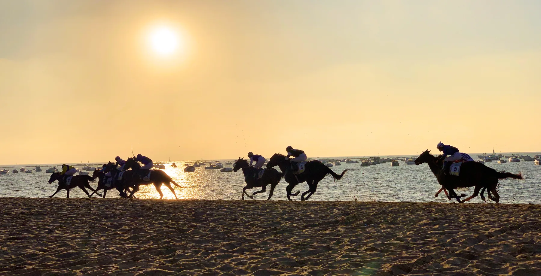 Carreras de caballos de Sanlúcar