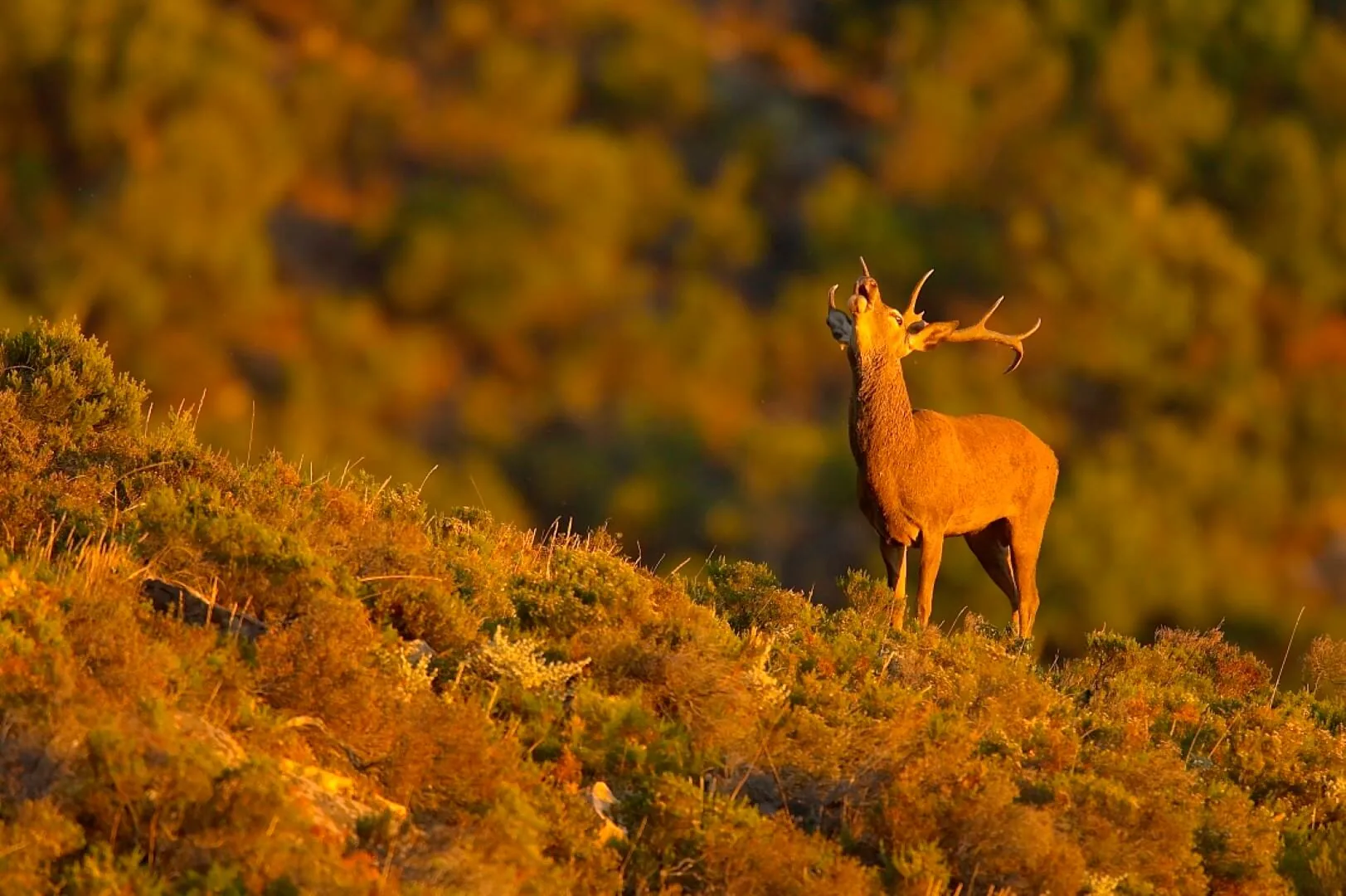 Naturaleza de la provincia